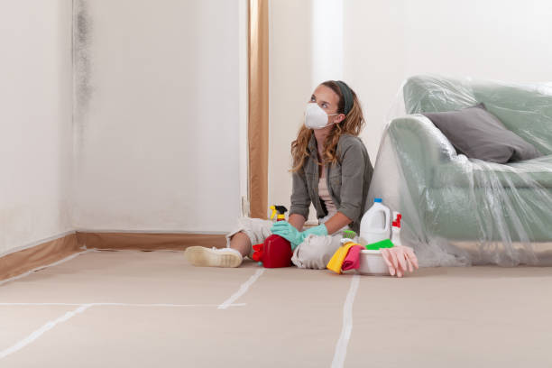 Reliable Black Mold Remediation contractor in Haskell, TX by Mold Remediation HQ